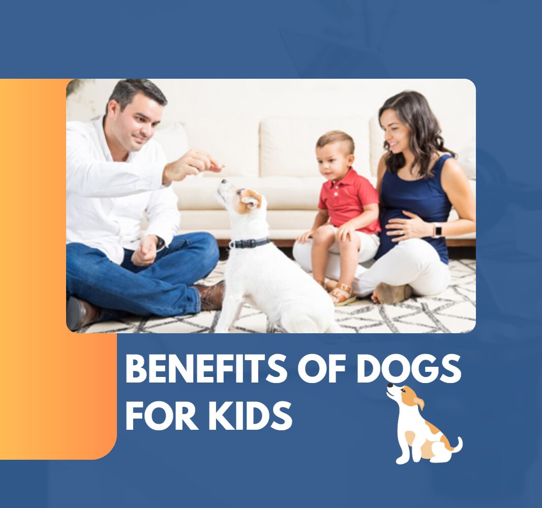 Benefits of Dogs for Kids