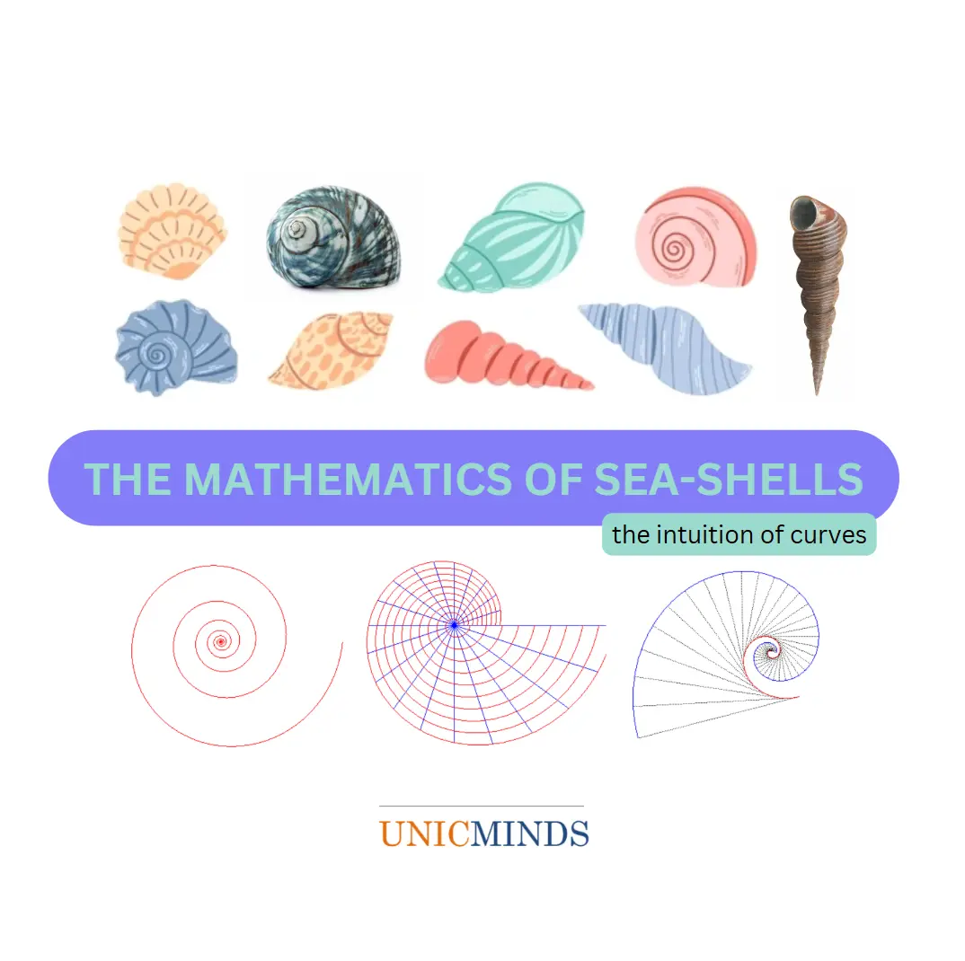 The Mathematics of Sea Shells