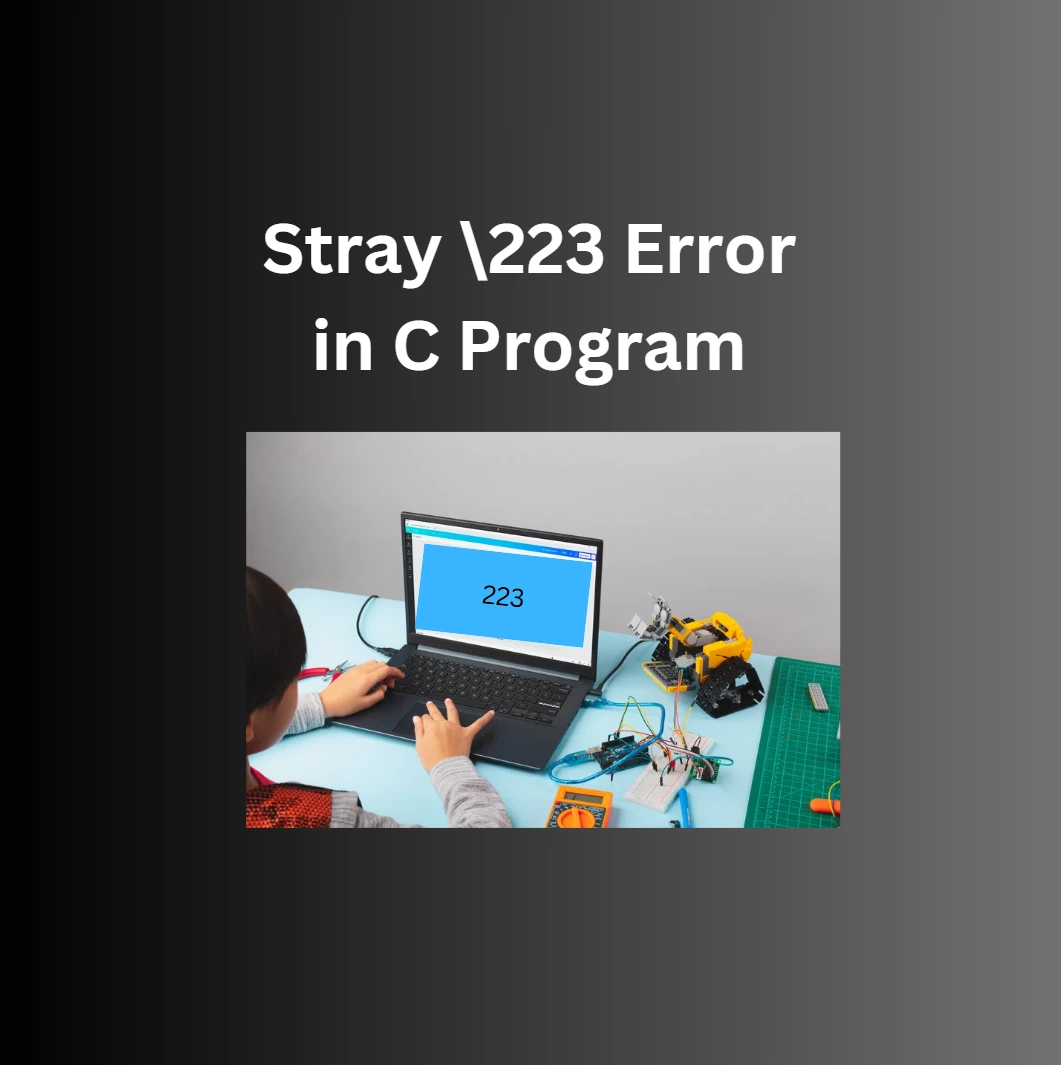 Stray 223 Error in C Program - UnicMinds