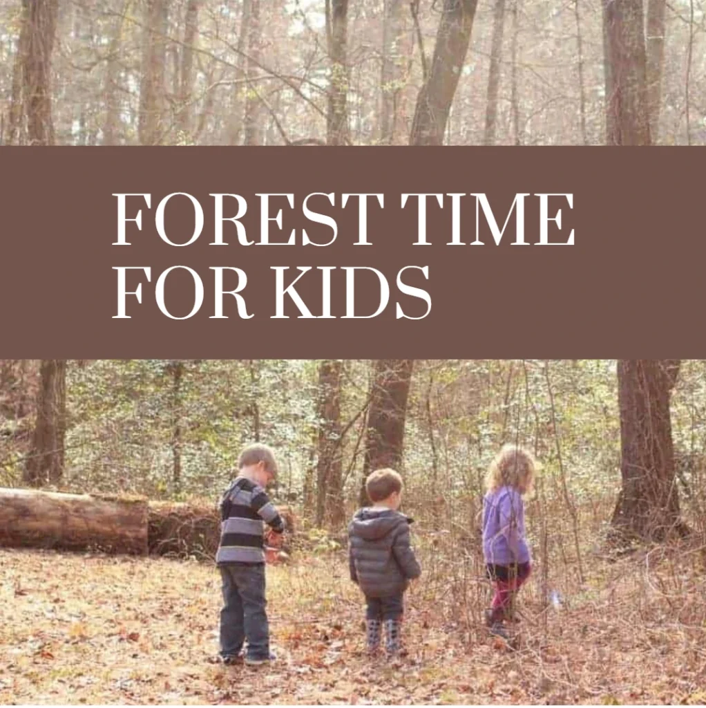 Forest Time for Kids - UnicMinds